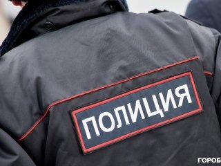 В Башкирии осуждена женщина, оклеветавшая сотрудников полиции