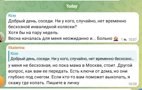 Скрин из чата, общего ДП с деревней