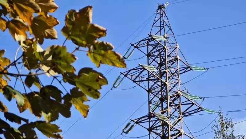      Фото: ИА «Победа26»