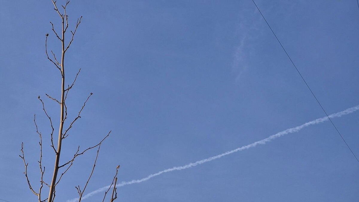    Фото: телеканал «Краснодар»