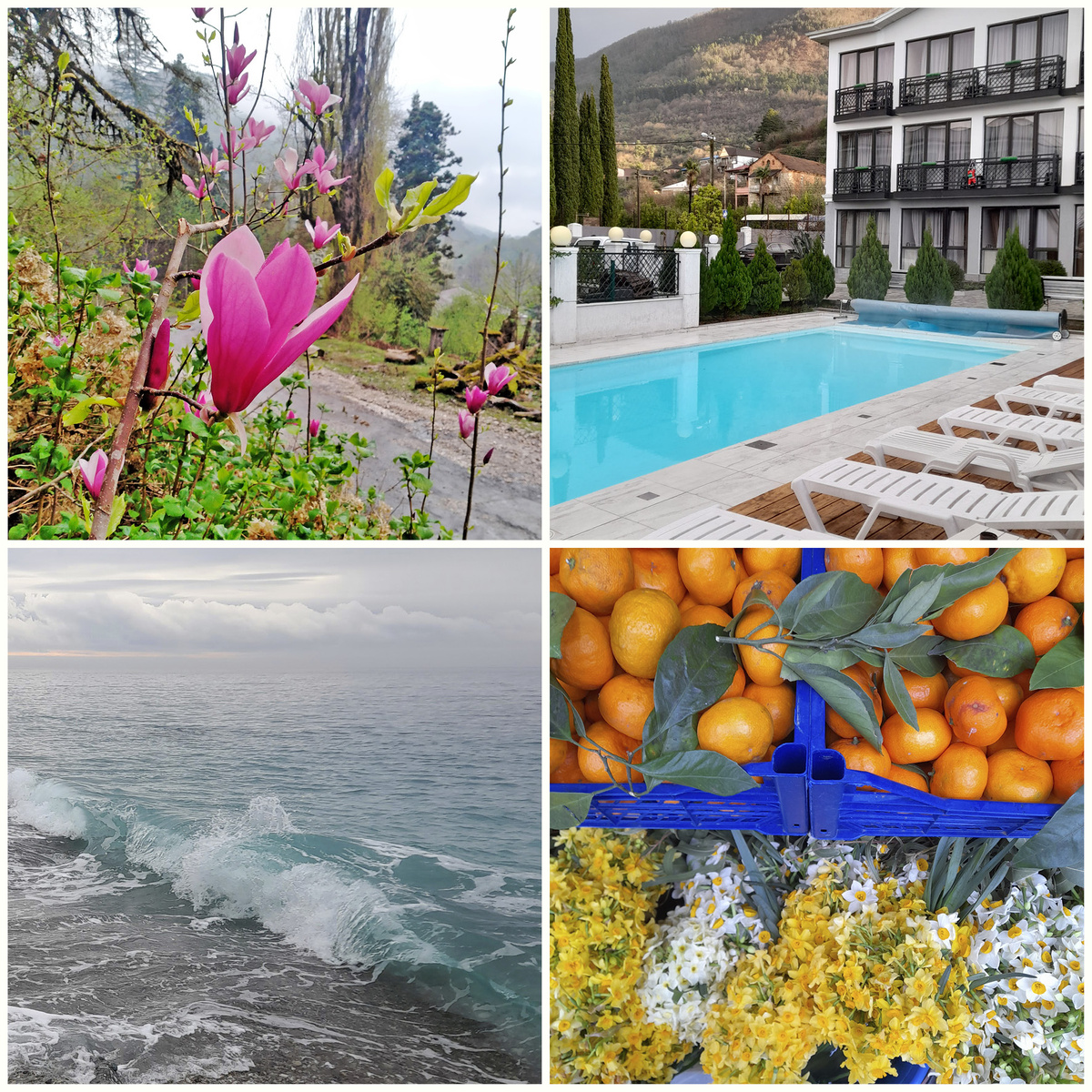 Гагра - мой любимый курорт в Абхазии. Фото автора.