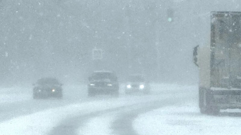     На трассе в метель. Дмитрий Лямзин