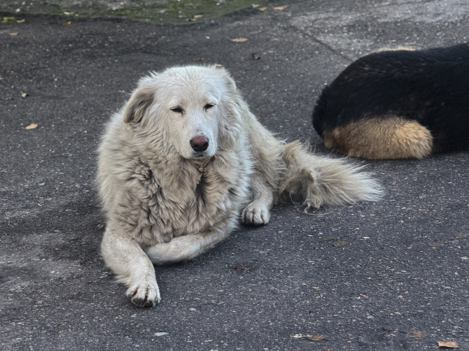 Фото: Мария Благова