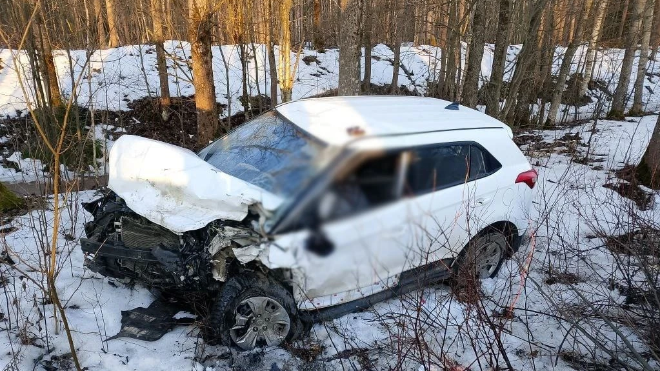 Фото: https://max.ru/id7839306722_gos/AZzmIuYXUC8