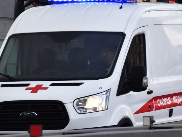    Фото: РИА Новости/Наталья Селиверстова