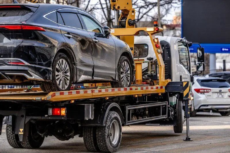    Источник: primamedia.ru/ Алла Бородина