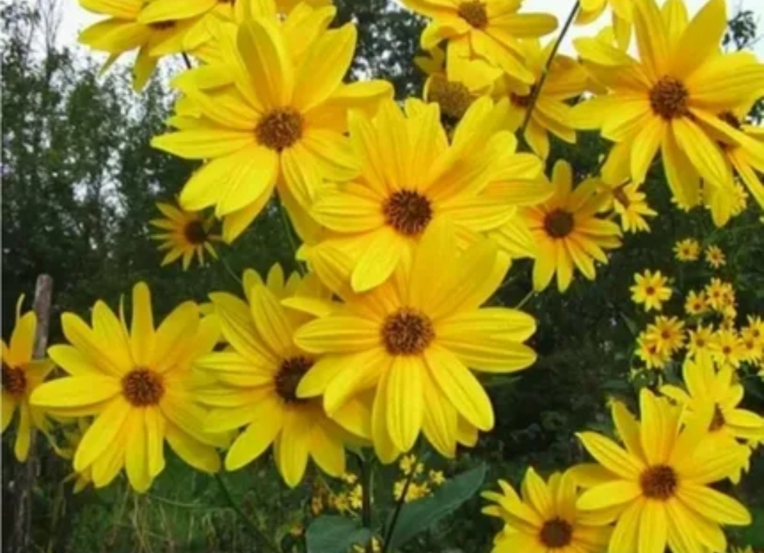 Фото не моё, не нашла у себя, вроде фоткала🤔