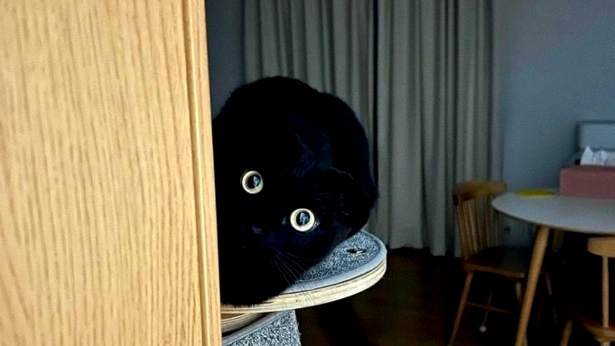 Ну теперь-то нам можно выходить? Еще фото --->>