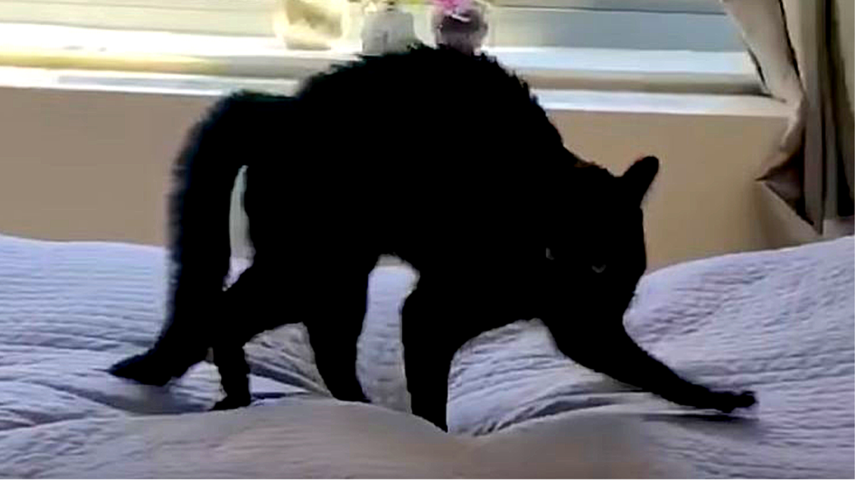 Я красавчик! Сами вы исчадия! ЕЩЕ фото --->>