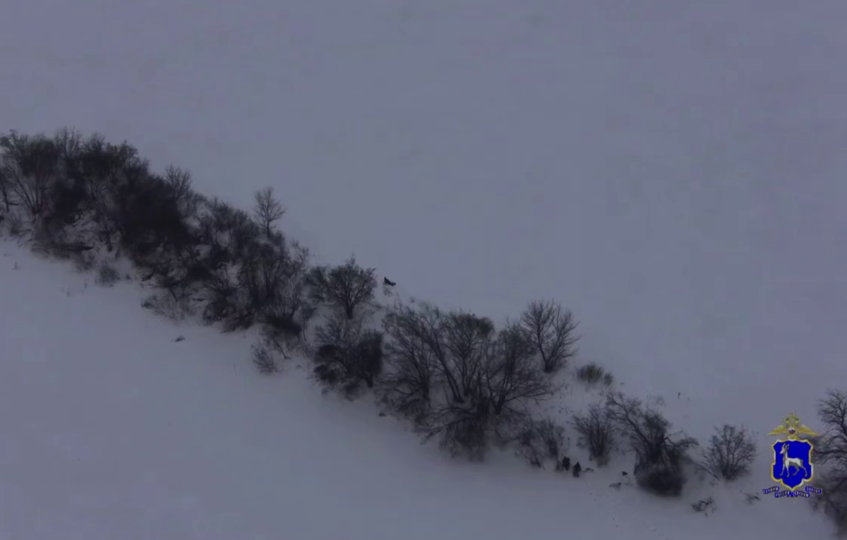 Фото: ГУ МВД России по Самарской области