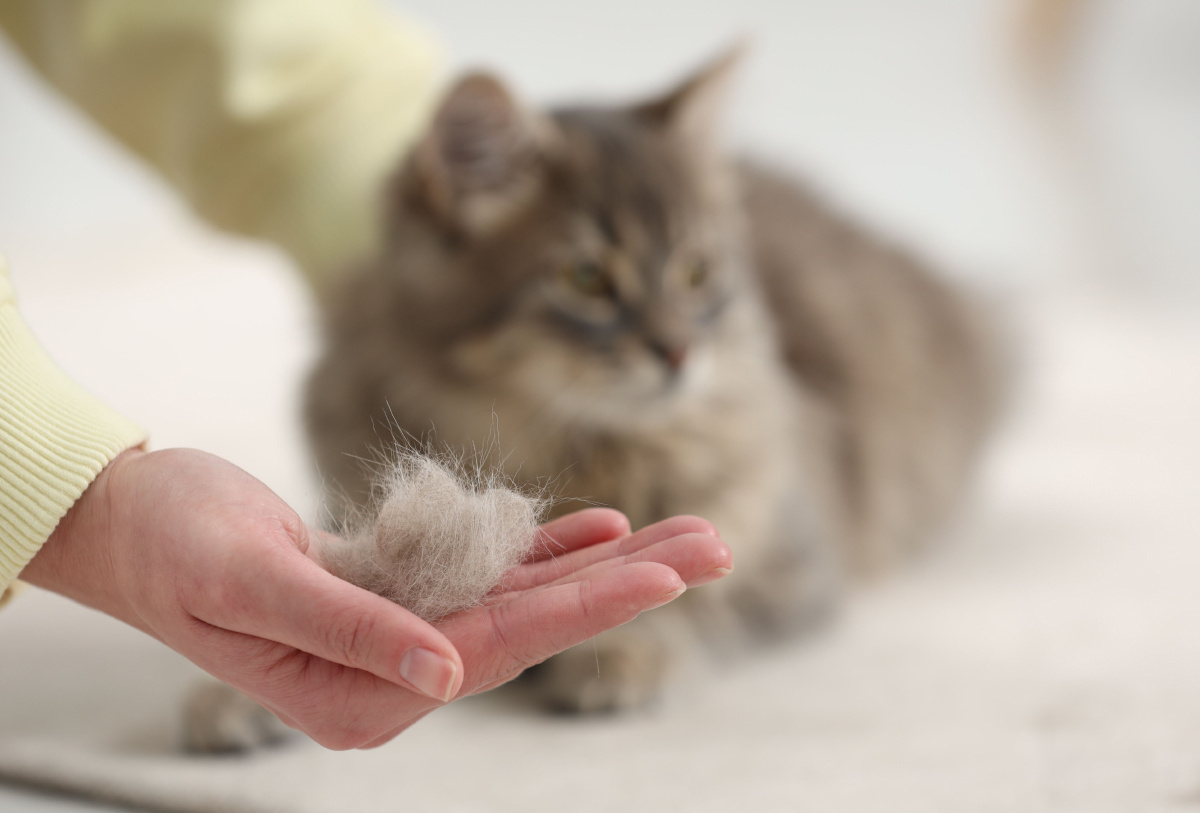 Фото Яндекс Картинки