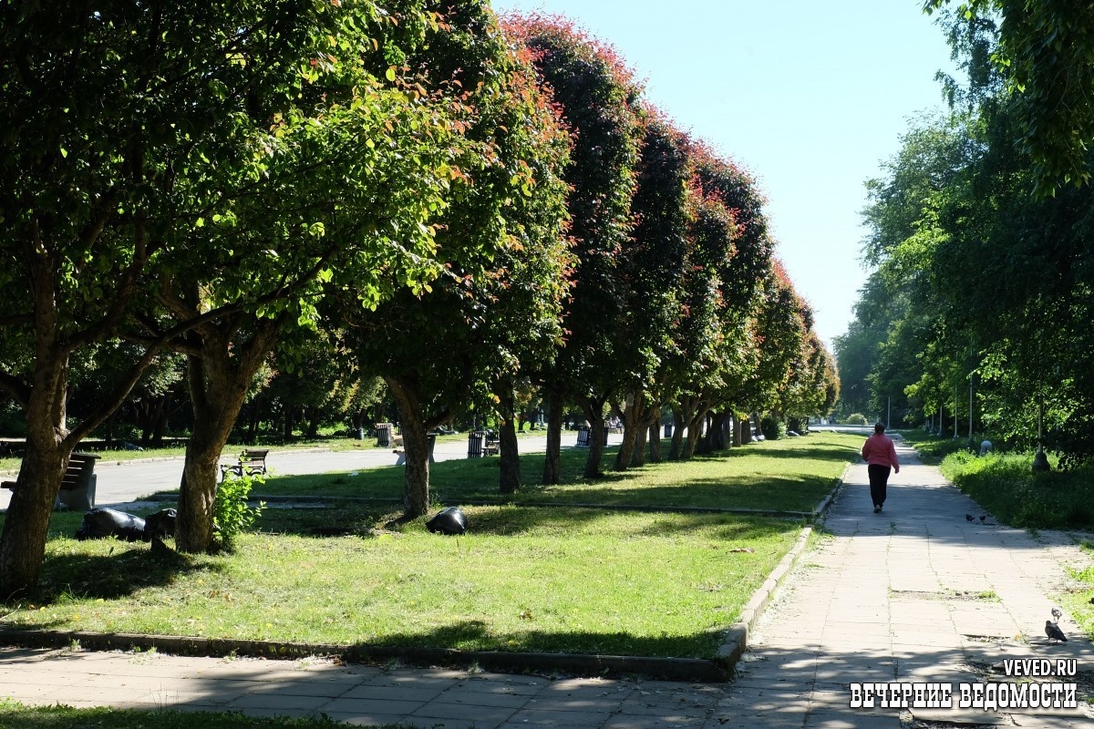    Фото: Владислав Постников / Вечерние ведомости