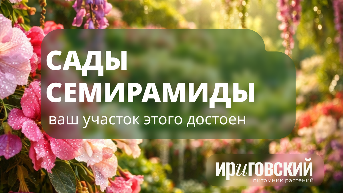 Ириговский питомник