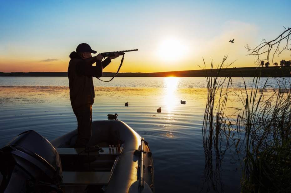    Shutterstock/FOTODOM