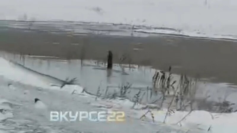     Река Панчиха в Павловском районе. «В КУРСЕ 22», скриншот из видео