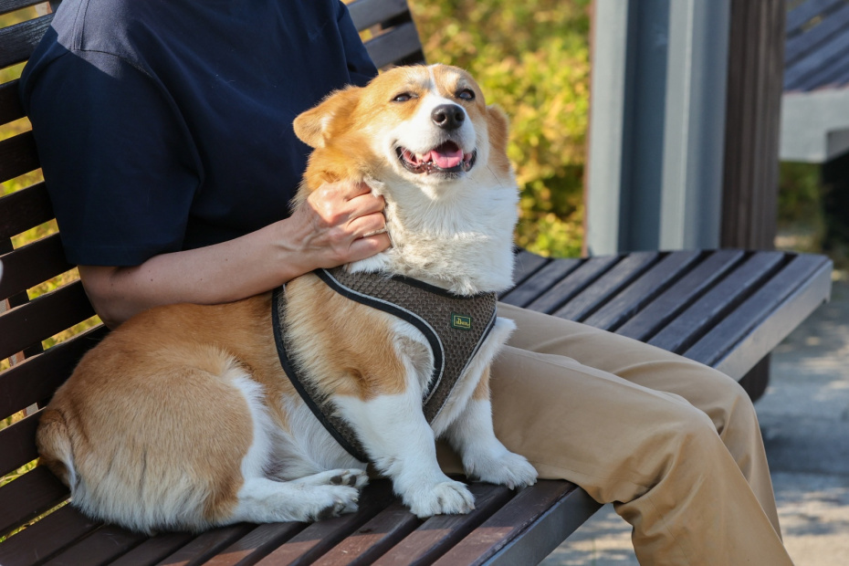    Алексей Белкин/NEWS.ru