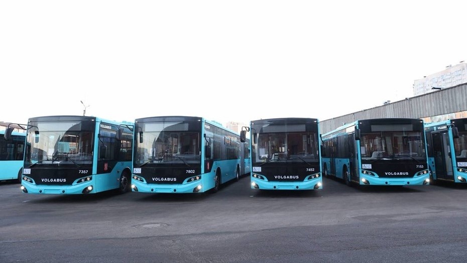    Автор фото: t.me/patspb