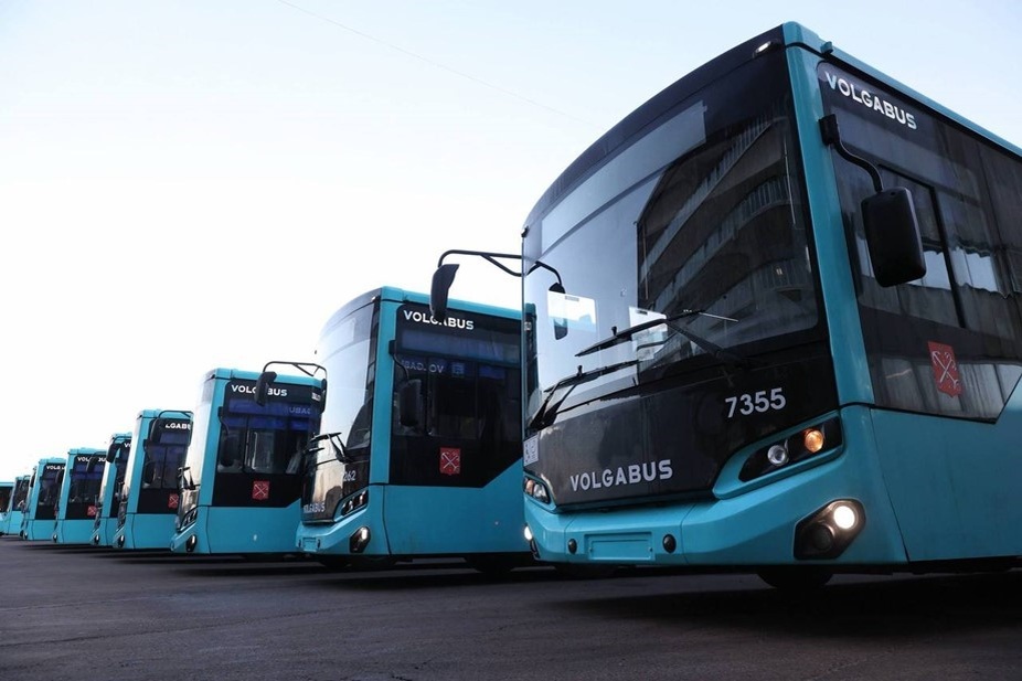    Автор фото: t.me/patspb