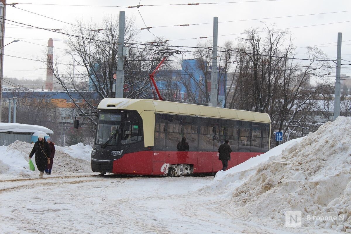    Фото: ИА «В городе N»