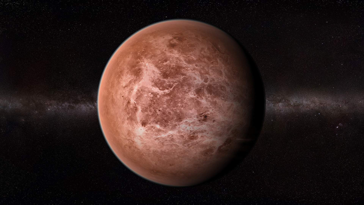 
Фото: Getty Images/SCIEPRO