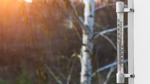 Март продолжит удивлять рекордным теплом