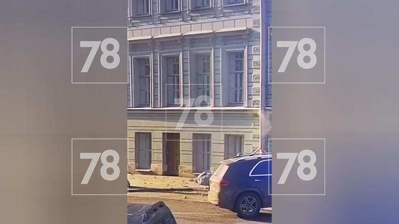    Фото: 78.ru