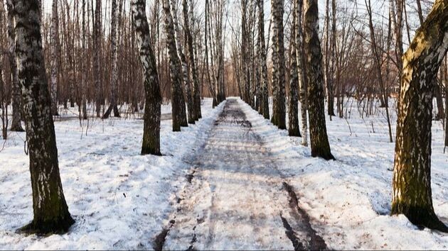 Снег таять не спешит