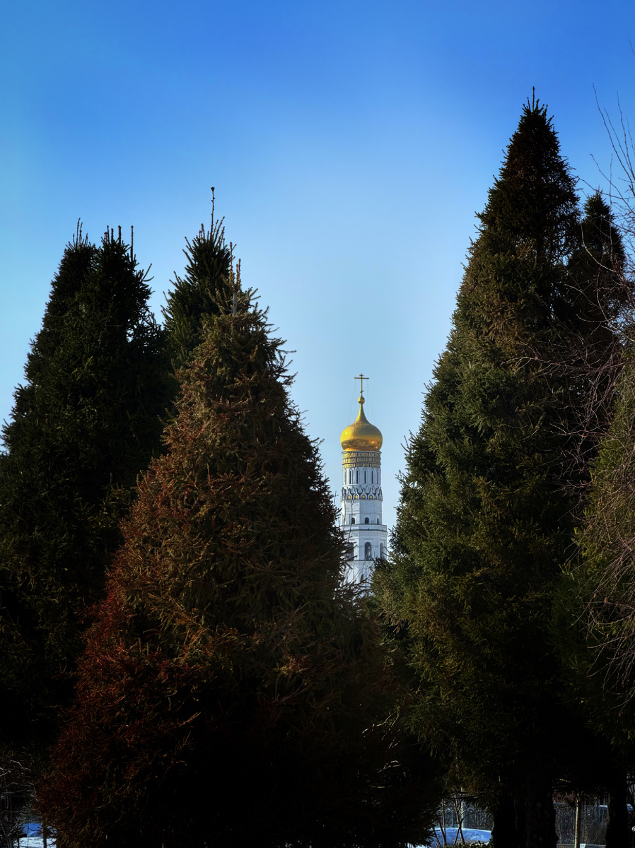 Колокольня Ивана Великого (вид с Зарядья)