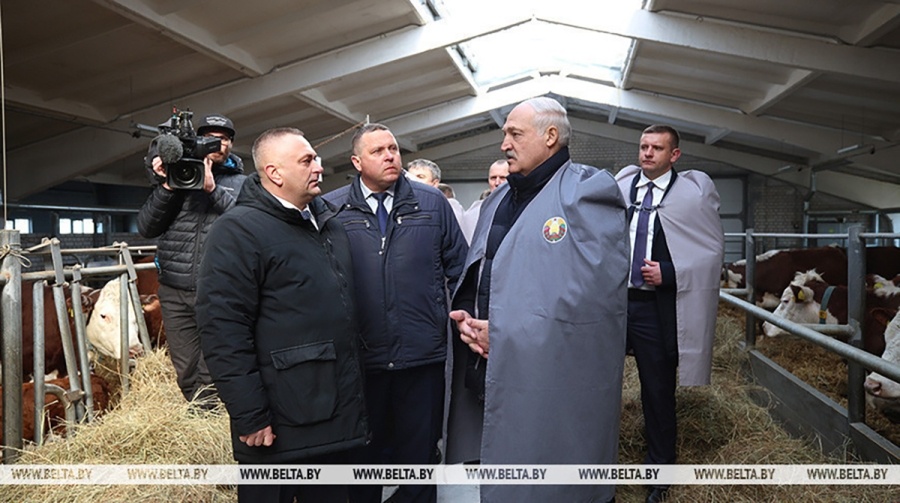     Александр Лукашенко ориентирует на более быстрое развитие племенного животноводства в Беларуси
