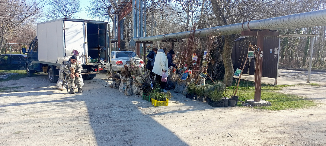 Захотелось мне ещё один абрикос!