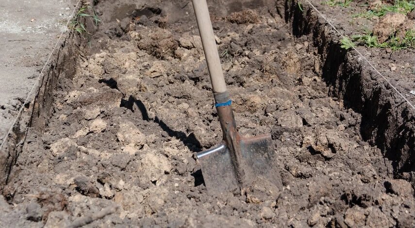 фото 123RF/StandardgroBen