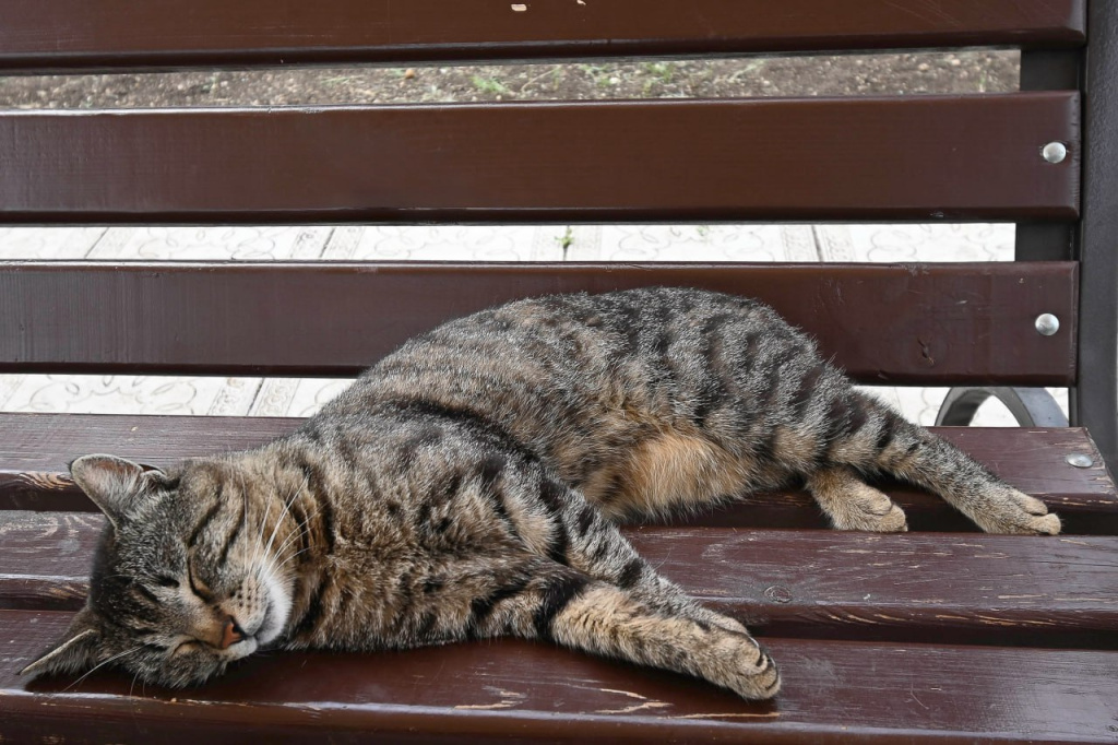 Фото: Гала Амарандо