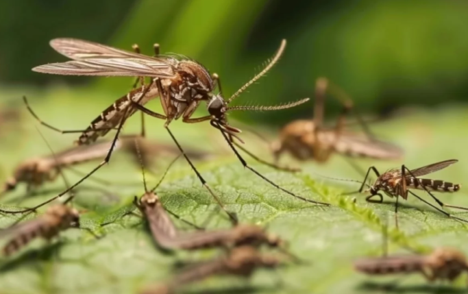 Фото: ru.freepik.com