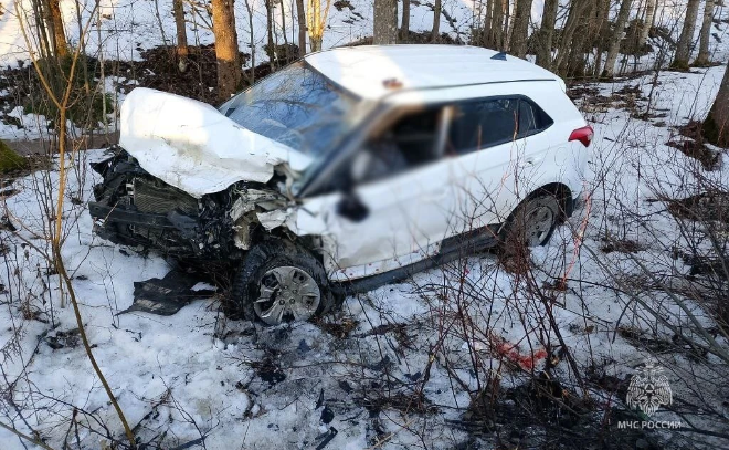    © МЧС Ленобласти