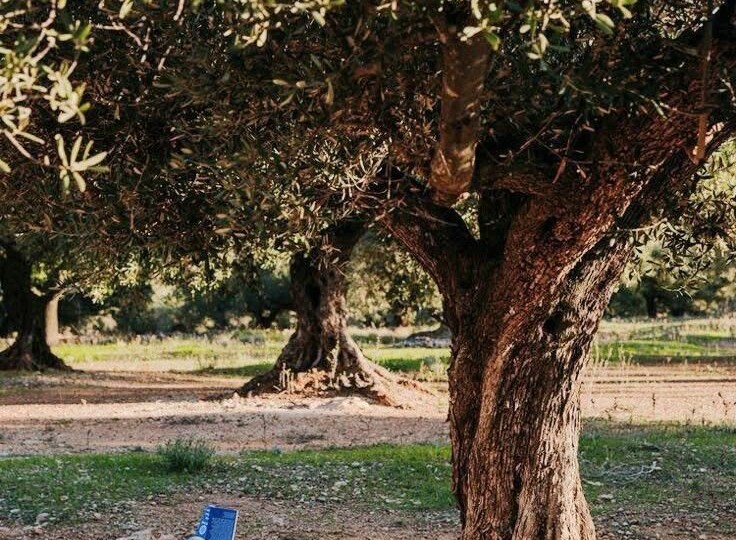 Эскапизм как суперсила