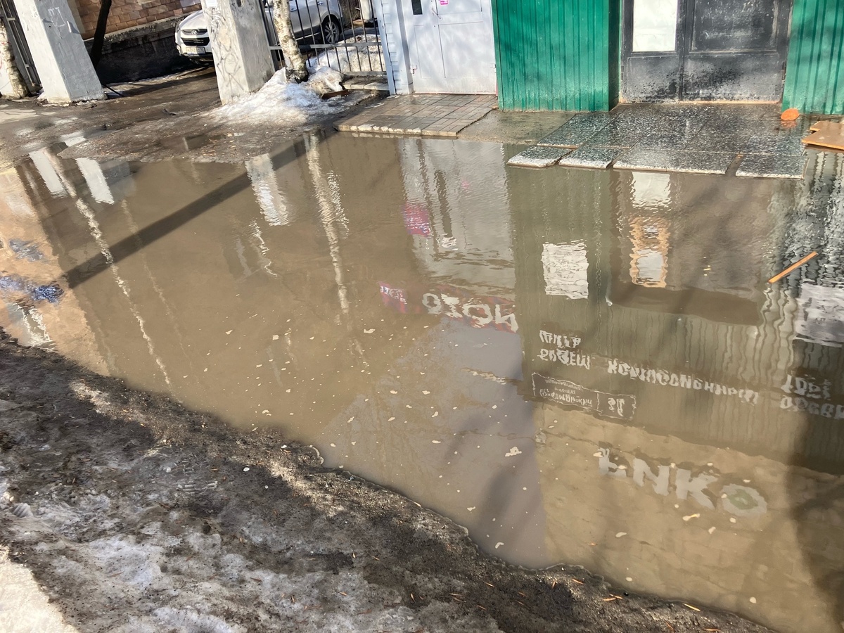    фото: © Столица на Онего