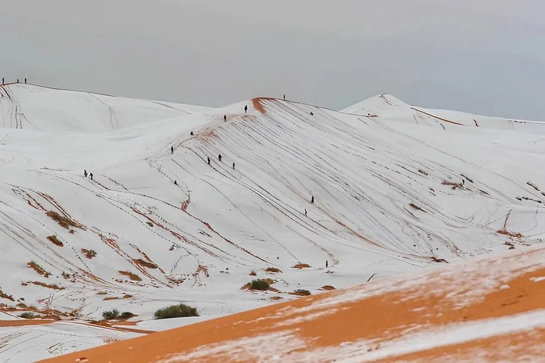    Цветокоррекция оригинального изображения была произведена с использованием ИИ "Ниязов 2.0"