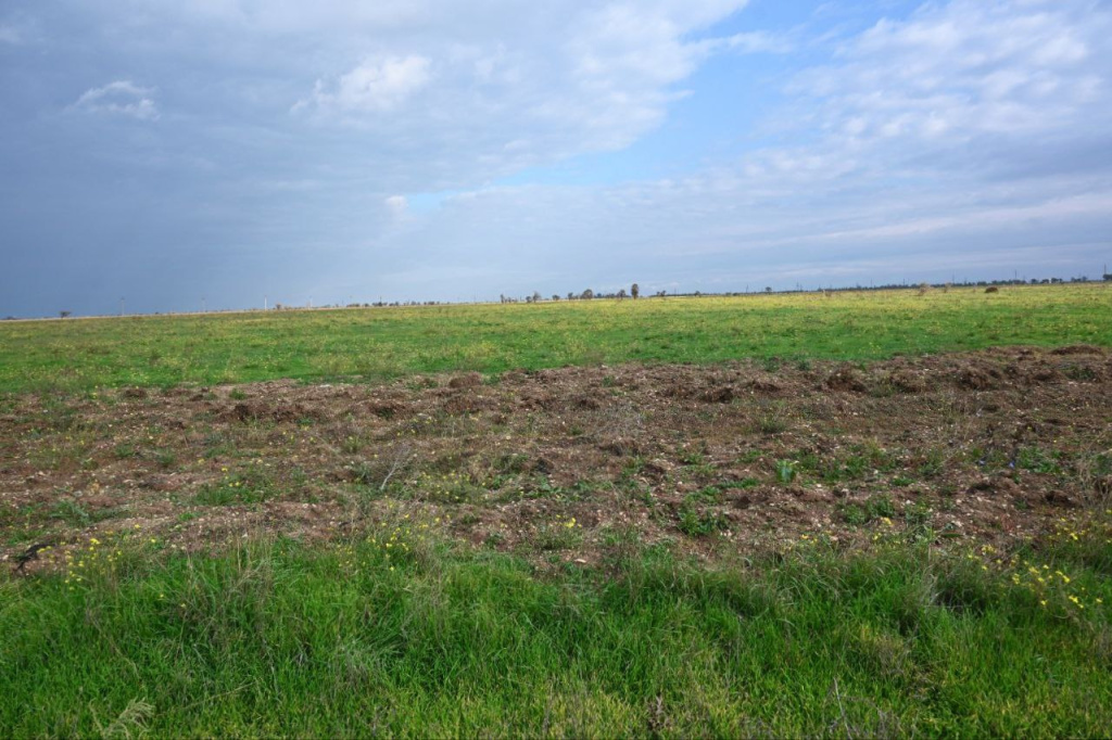 Фото: Гала Амарандо