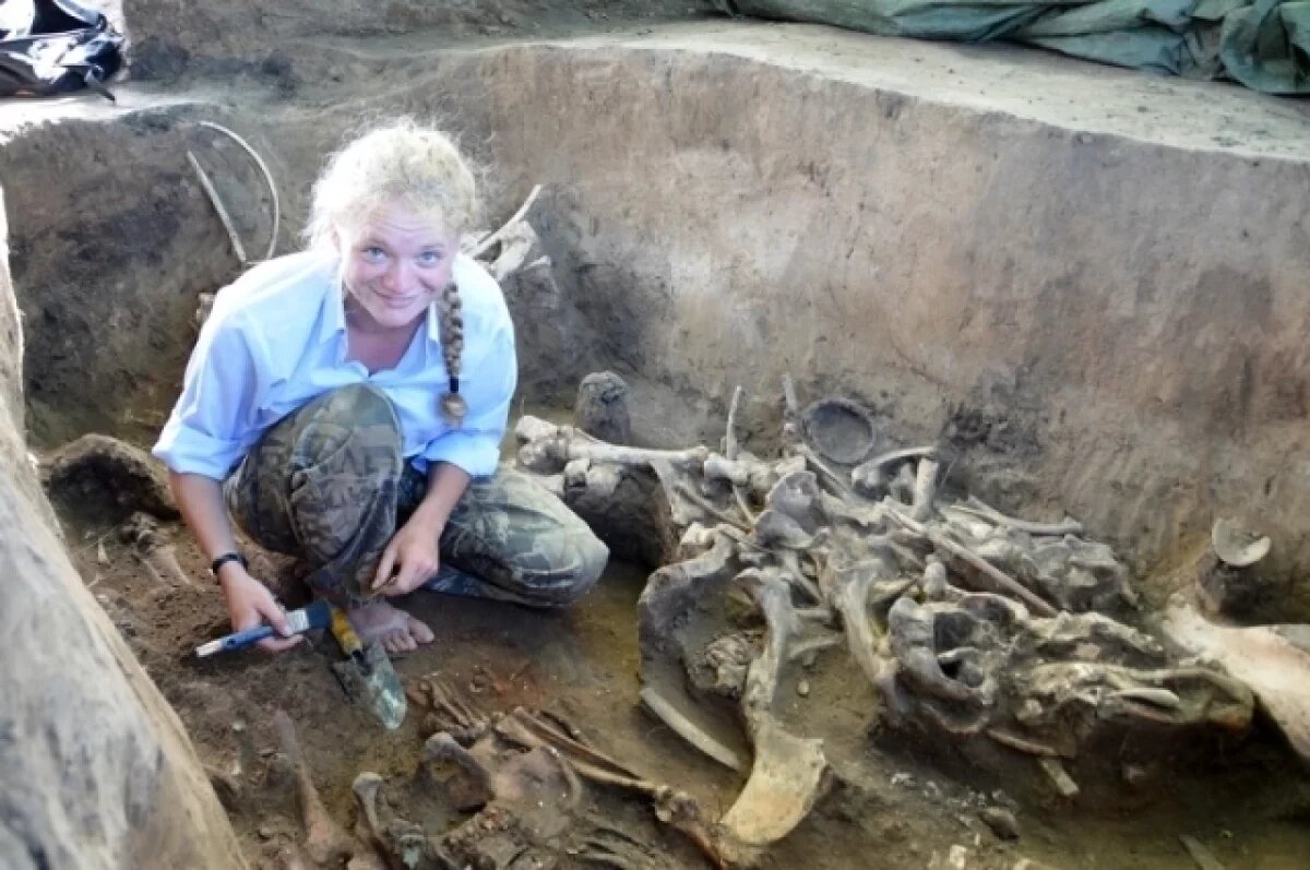    Экспедиции, которые длились несколько лет, принесли удивительные результаты.