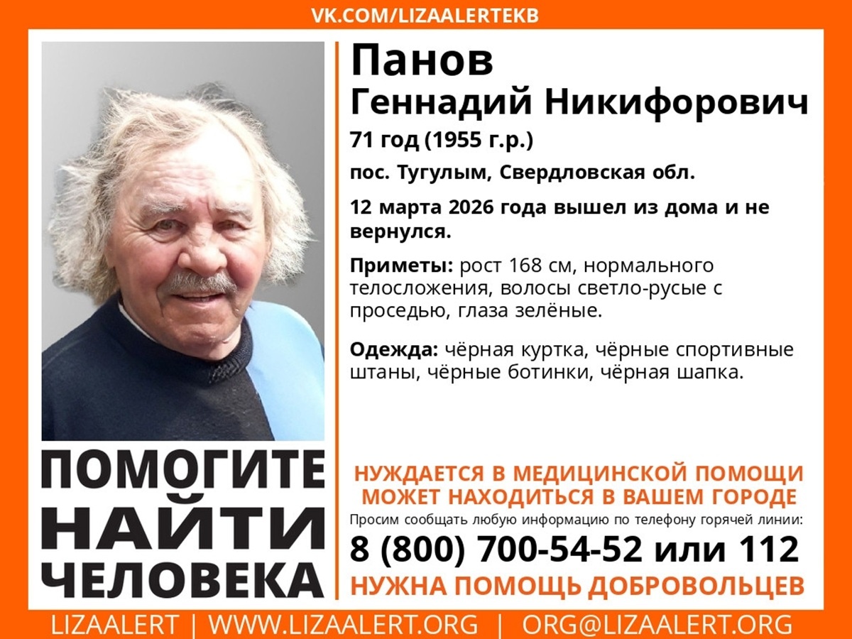 Фото: поисковый отряд «Лиза Алерт» Свердловской области  📷
