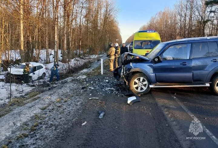 фото: МЧС Ленинградской области