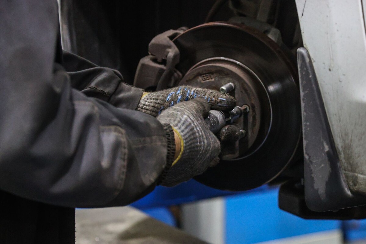     / Источник: © Global Look Press