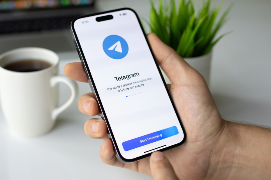    Shutterstock/FOTODOM