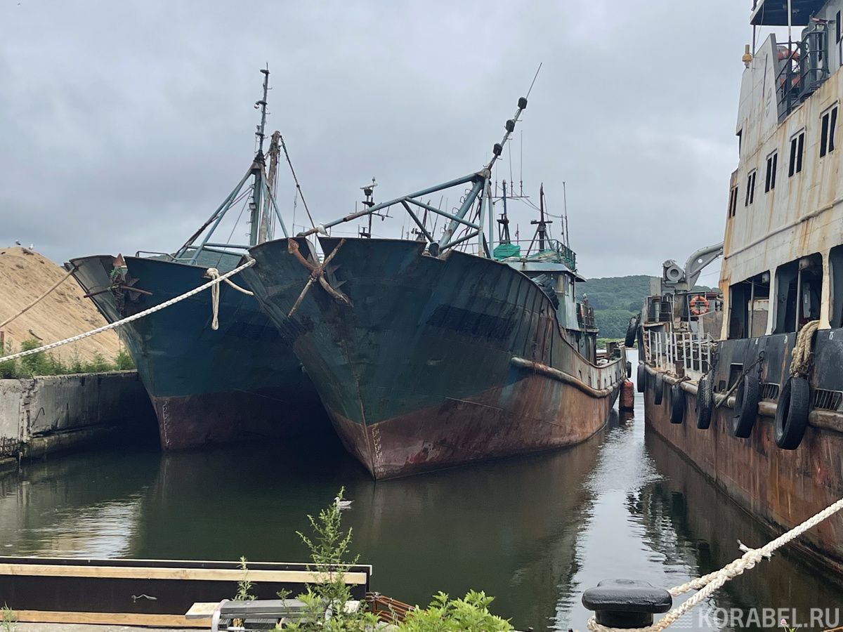Рыбацкие шхуны / Фото: Корабел.Ру  📷
