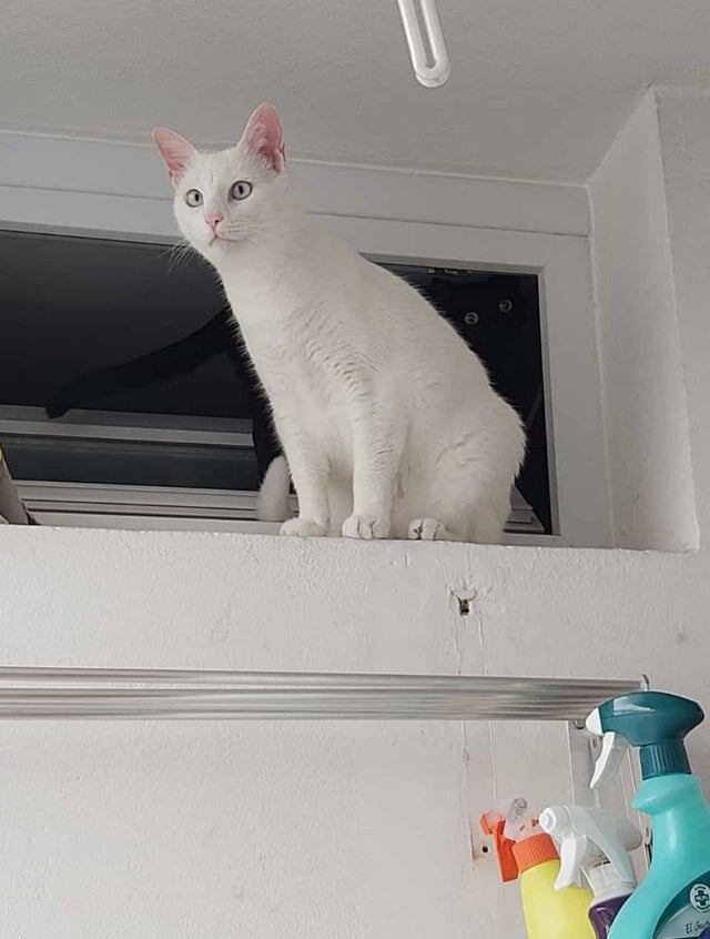    blame_the_other_dude