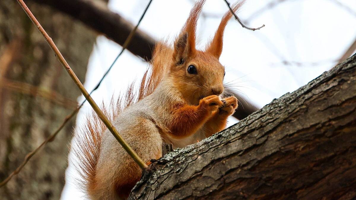   Фото: Ярослав Чингаев / АГН Москва