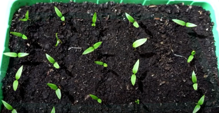 Получается достаточно редко 