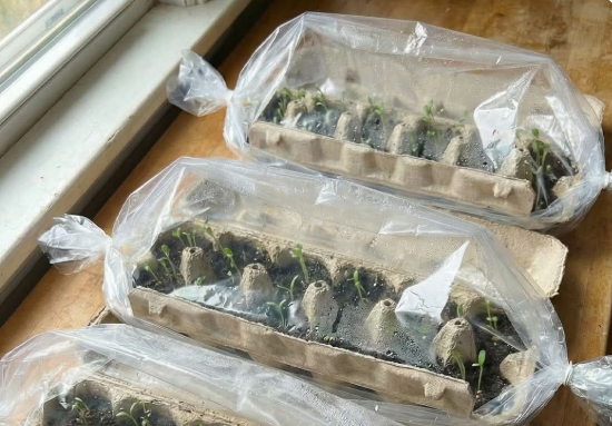 Один из вариантов 