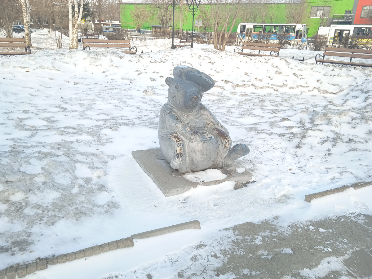 Сурок.