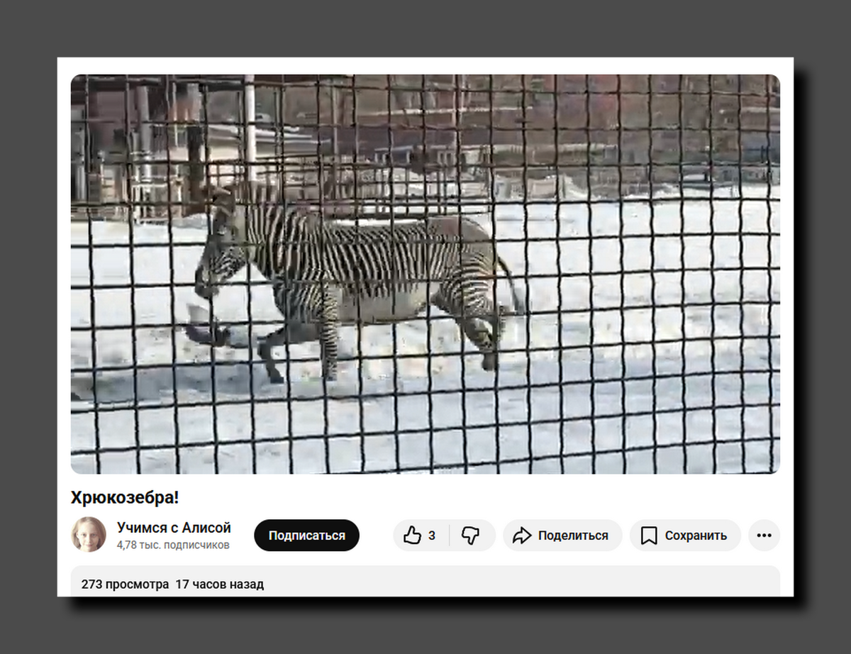 Скриншот https://www.youtube.com/@alisaxuexi